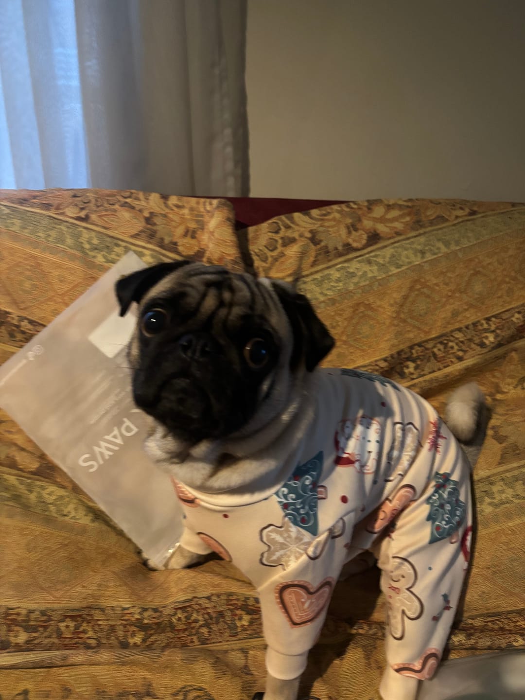 Customer photo review of Dog Christmas Pajama - Frosty Night