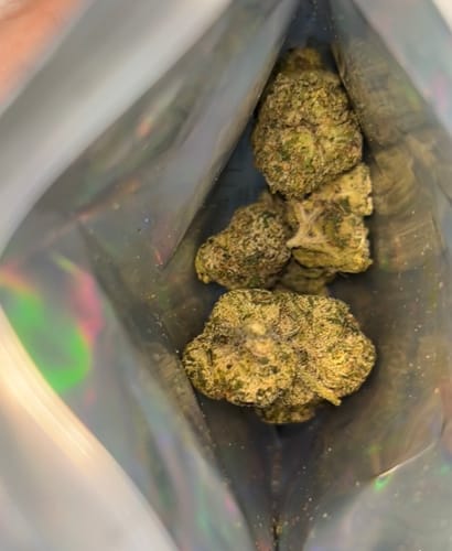 Customer photo review of Alien ET