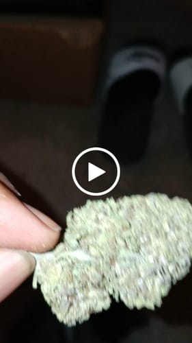 Customer video review of BFCM THCA Flower Ounces (30% Off)