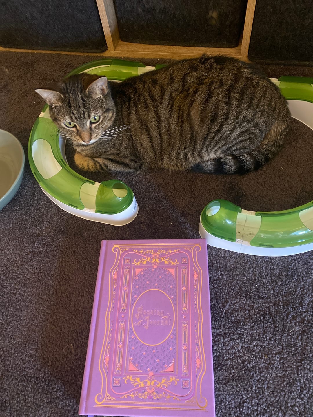 Customer photo review of Reading Journal - Wisteria