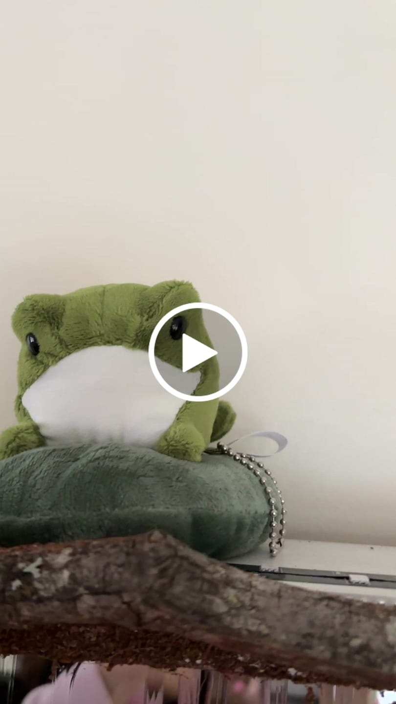 Customer video review of Henry The Frog (SOLD OUT - Preorder for End of Nov)