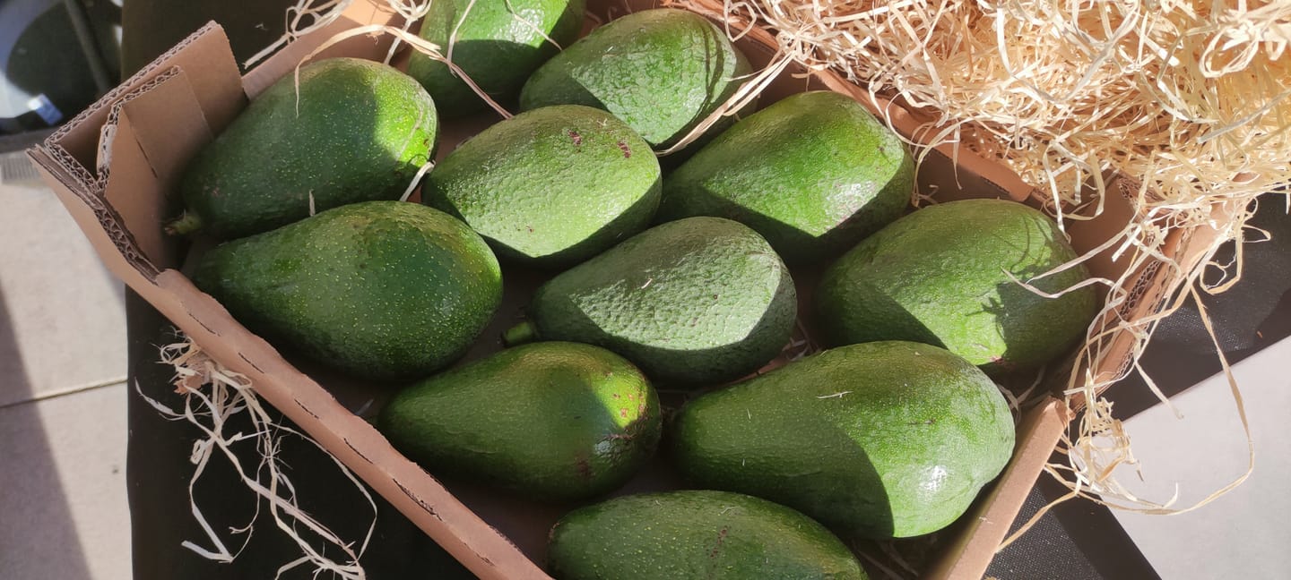 Customer photo review of Avocado Fuerte Bio von Julian Aktionswoche %