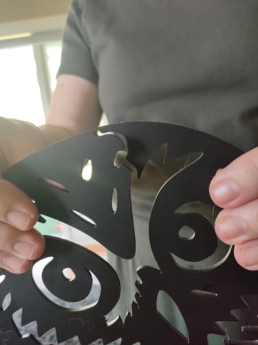 Customer photo review of Morepork On Branch