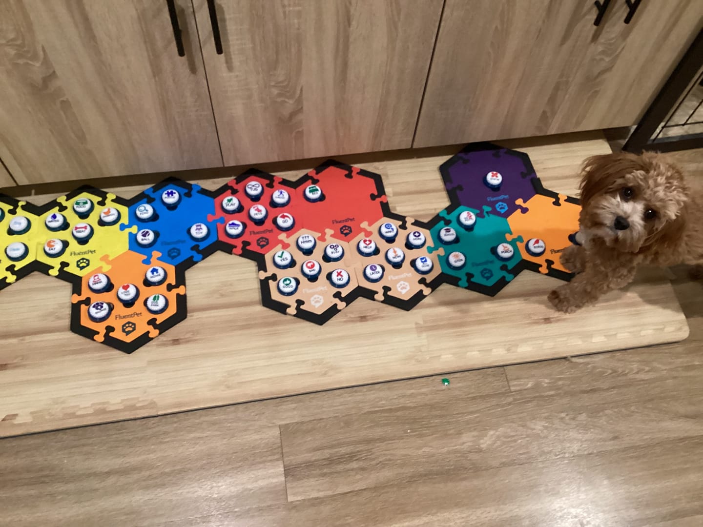 Customer photo review of Speak Up! Button Multipacks