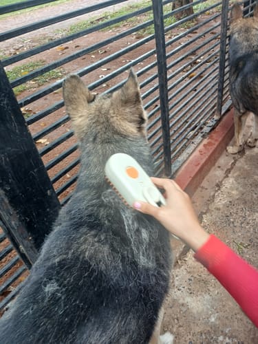 Un cliente cepillando el lomo de un perro de pelo oscuro con el cepillo a vapor blanco para mascotas.