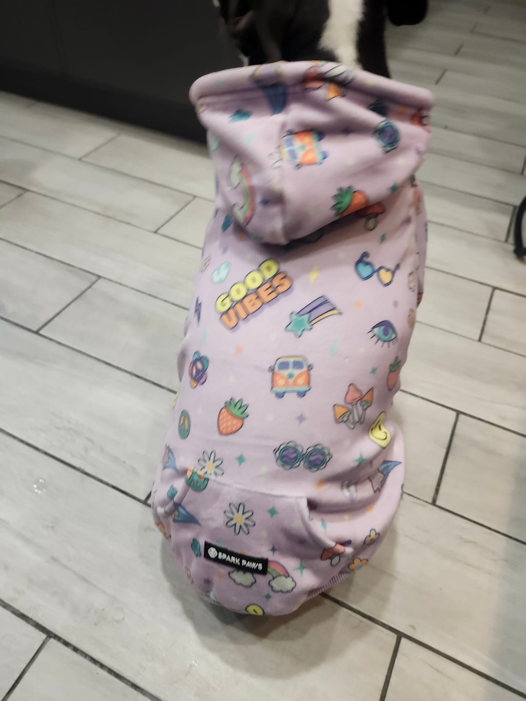 Customer photo review of Good Vibes Dog Hoodie - Purple
