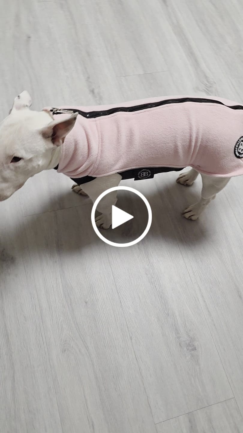 Customer video review of Dog Fleece With Zip - Pink