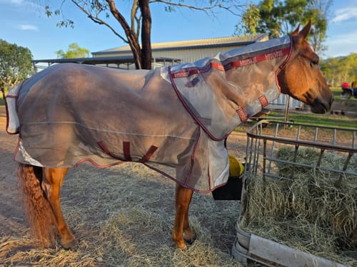 Customer photo review of LE Defender Anti-Insect Fly Rug