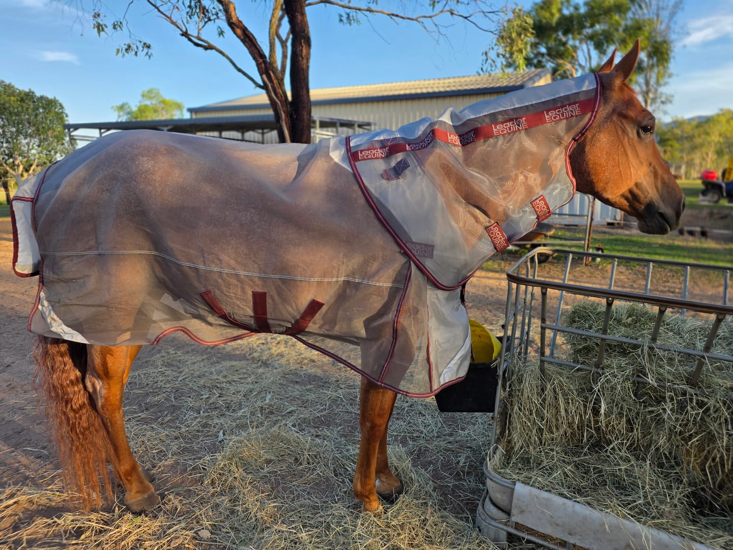 Customer photo review of LE Defender Anti-Insect Fly Rug