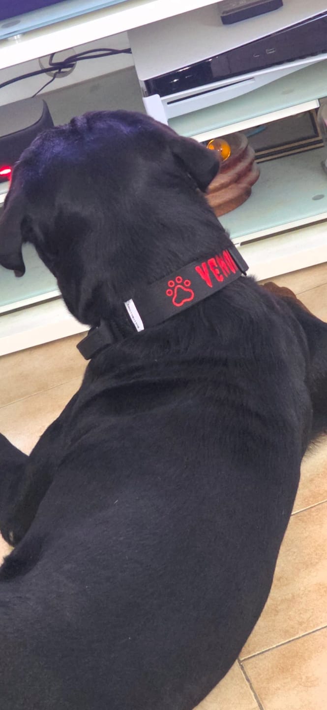 Customer photo review of Personalisation Fee €8.99