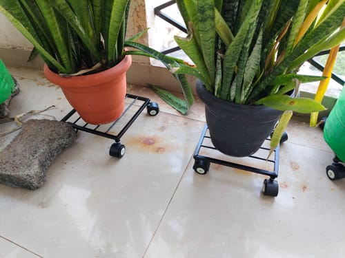 Customer photo review of United Crafts Rozy Wheel Pot Stands for Planters