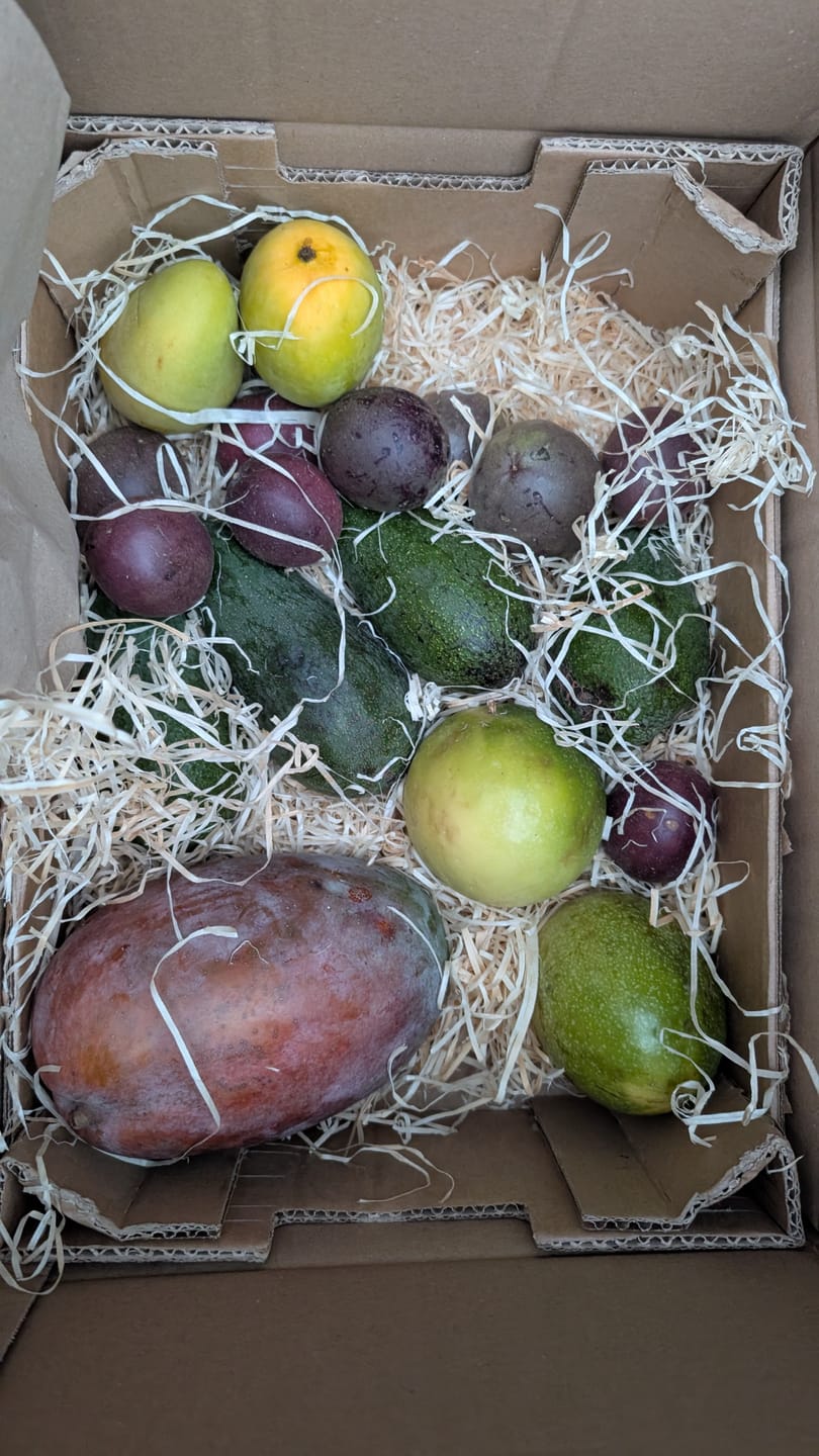 Customer photo review of "Passiflora Lovers" Maracuja-Mix Box