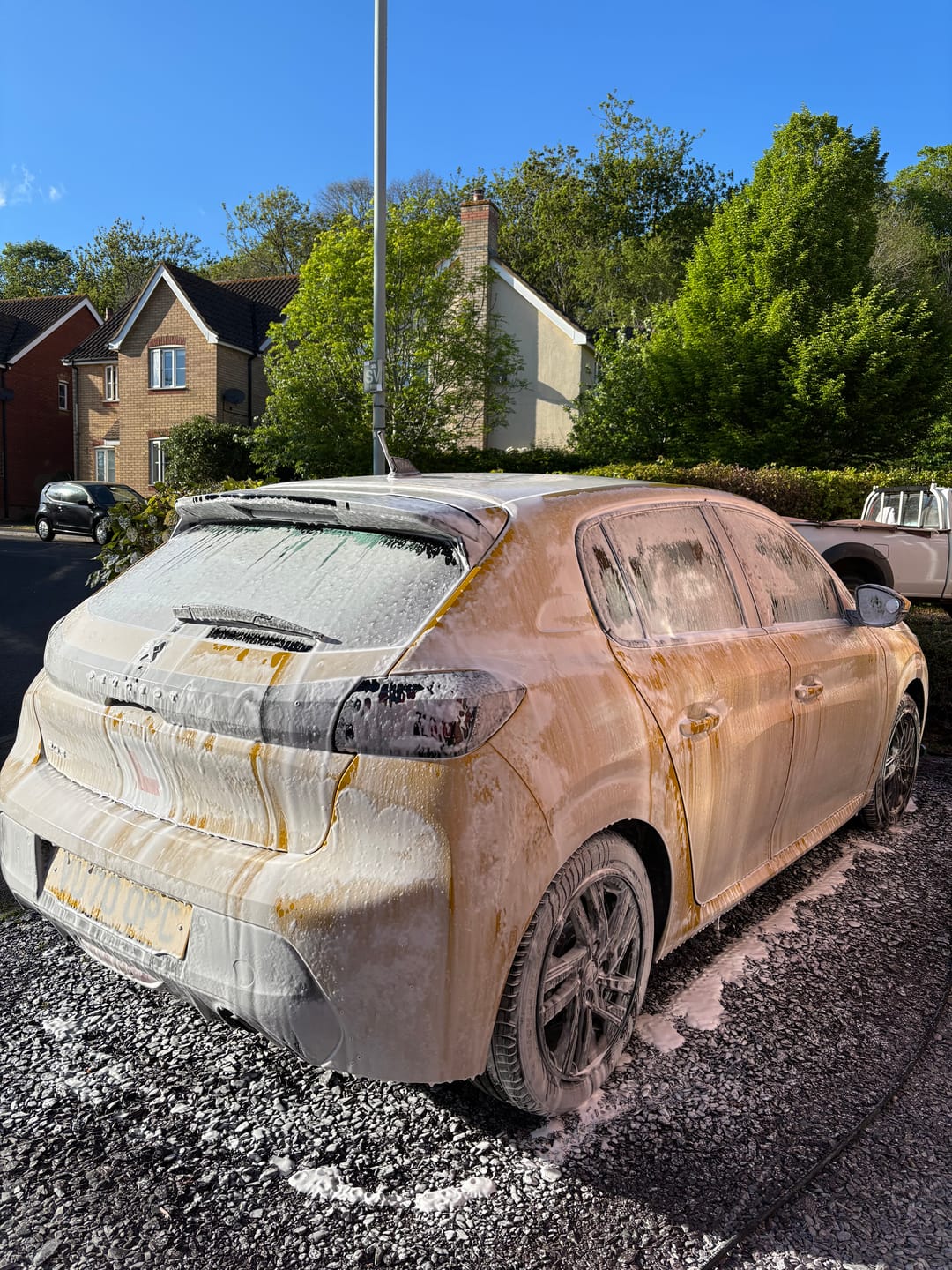 Customer photo review of EZ Advanced Snow Foam Lance