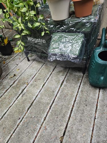 Customer photo review of AllGuard Outdoor Heated Cat House – Forest Green