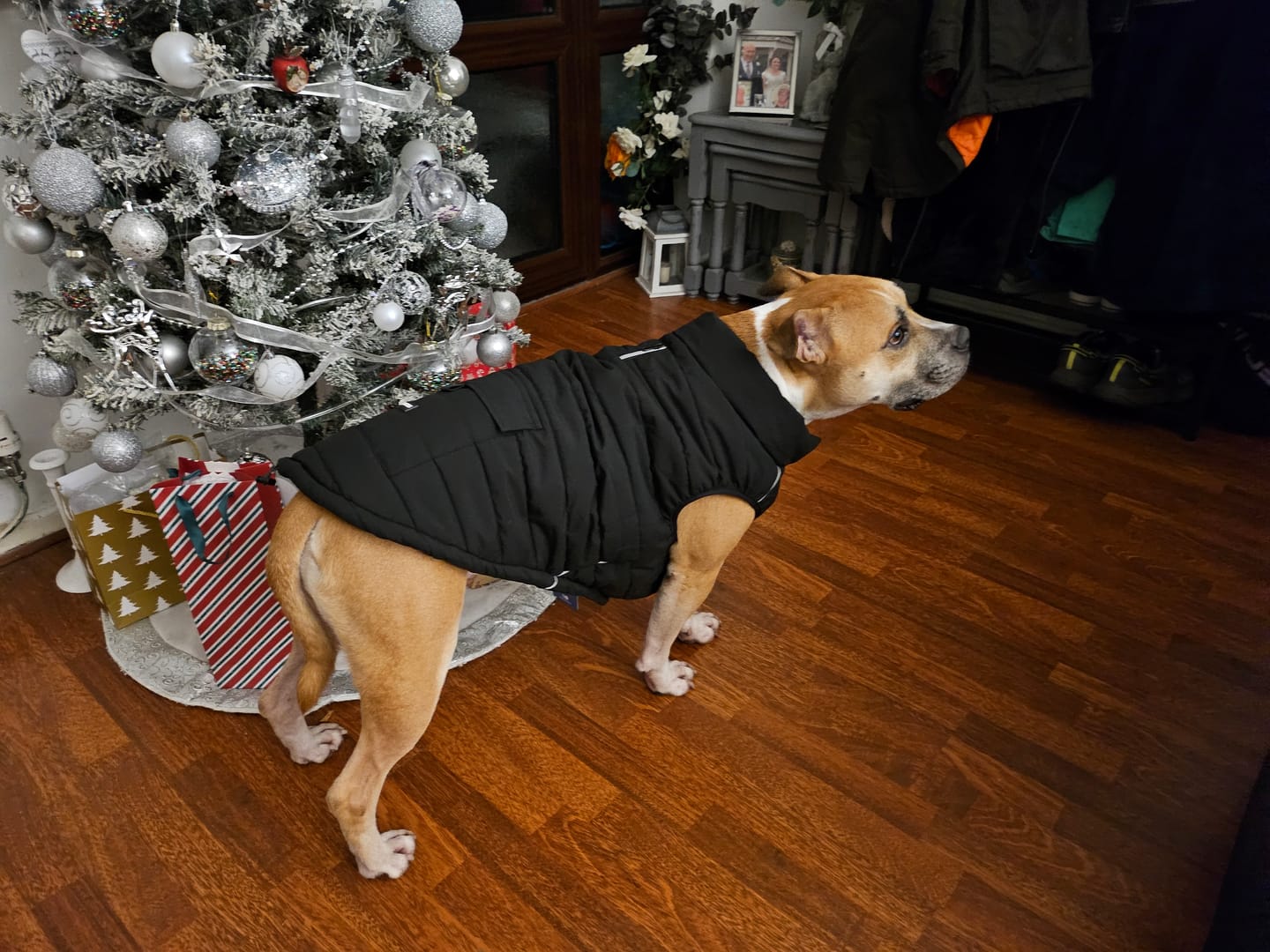 Customer photo review of WarmShield Water-Resistant Jacket - Black