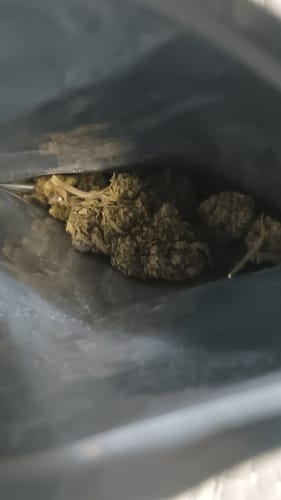 Customer's close-up view of the Carbon Fiber buds inside an open, dark bag.