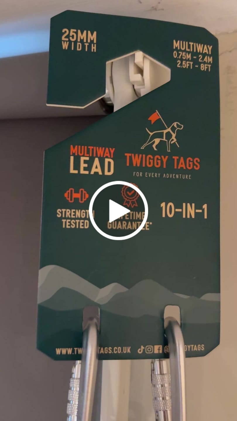 Customer video review of Multi-Way Lead