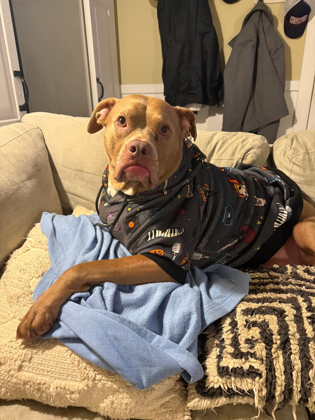 Customer photo review of Dog Hoodie Prints