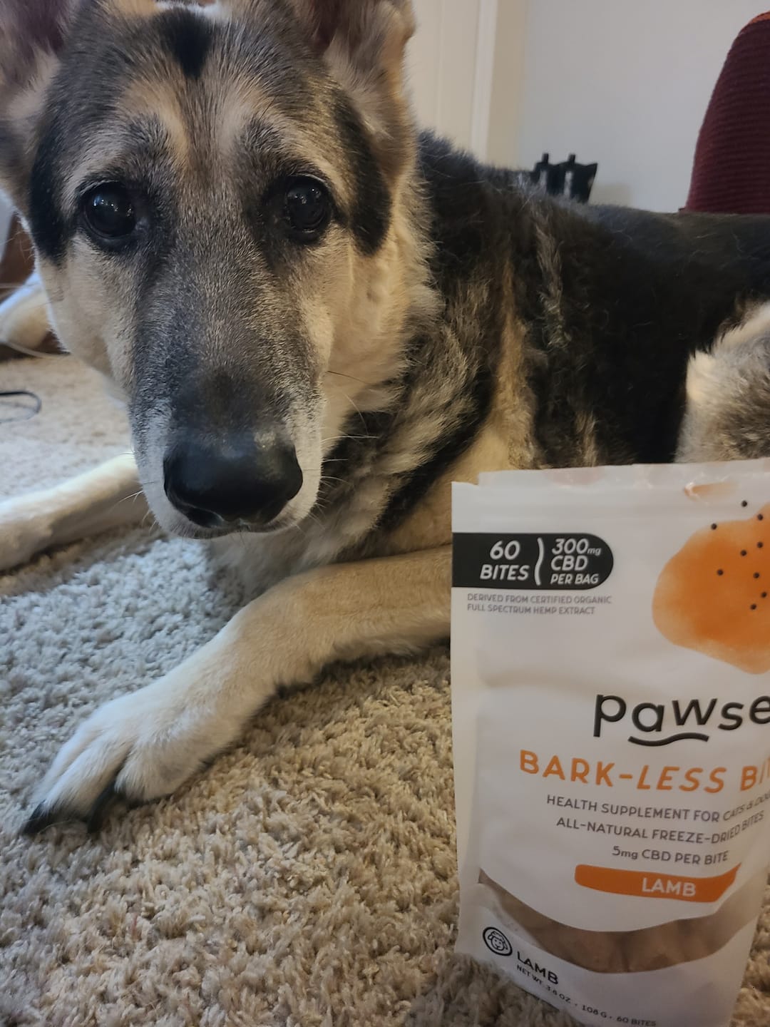 Customer photo review of Bark-Less Bites