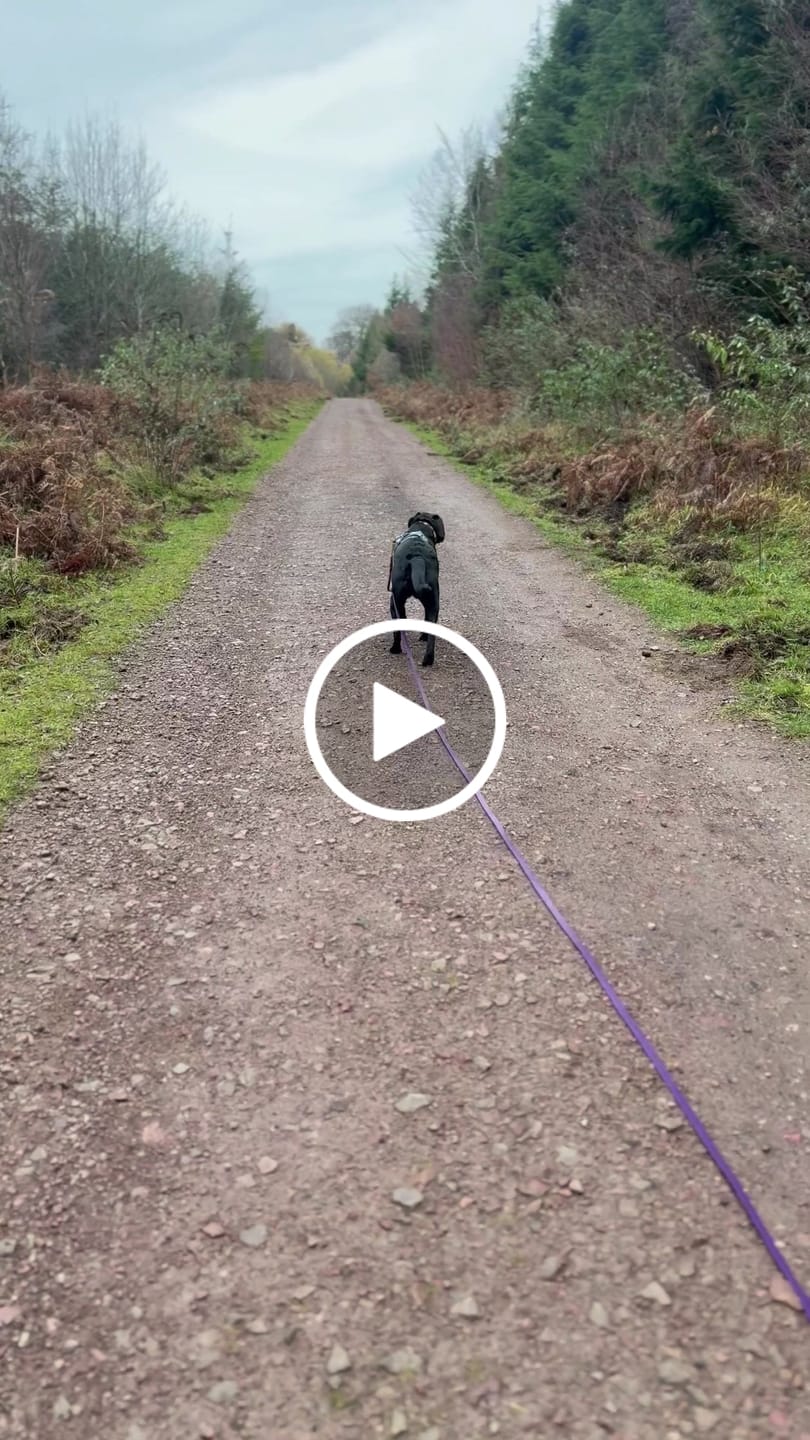 Customer video review of Tidal Waterproof Longline