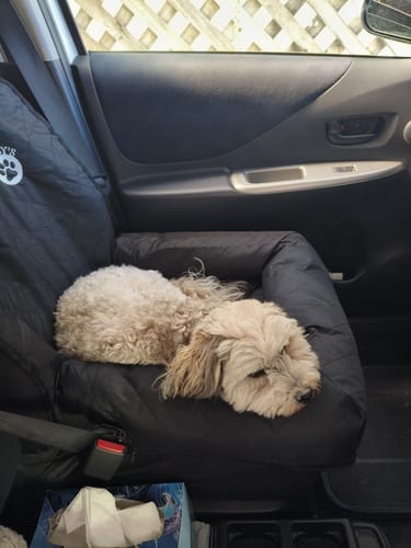 Customer photo review of Car Seat Cover