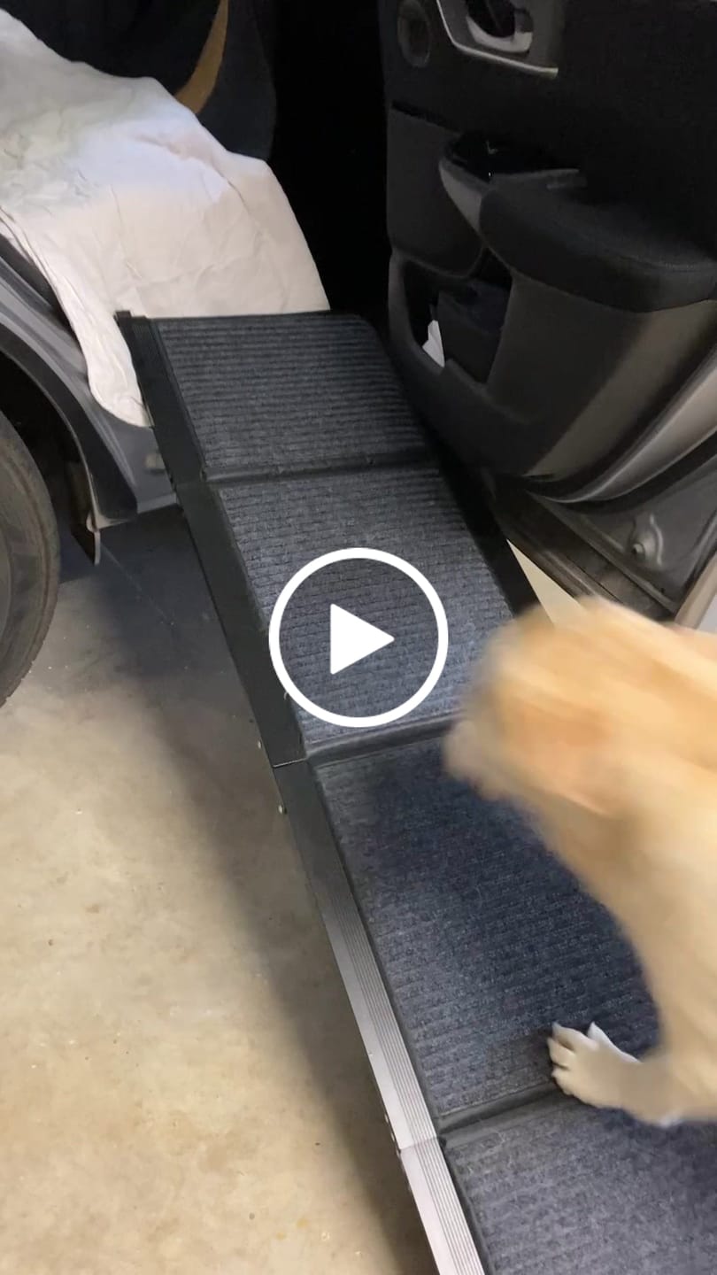 Customer video review of Foldable Dog Ramp for Cars & SUVs – Compact Design