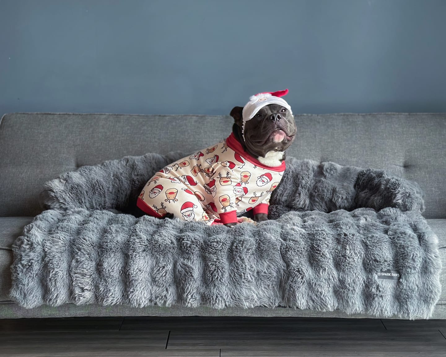 Customer photo review of Calming Fluffy Couch Cover Dog Bed - Grey