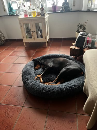 Customer photo review of Puppery Hundebett Wolke 7 - Das Original