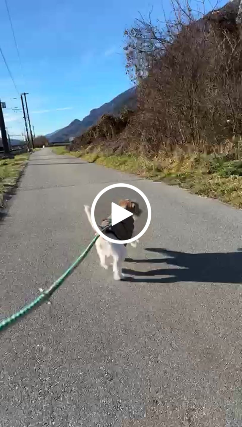 Customer video review of WarmShield Water-Resistant Jacket - Tan