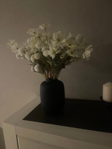 Customer photo review of Nola Vase - Mat Noir
