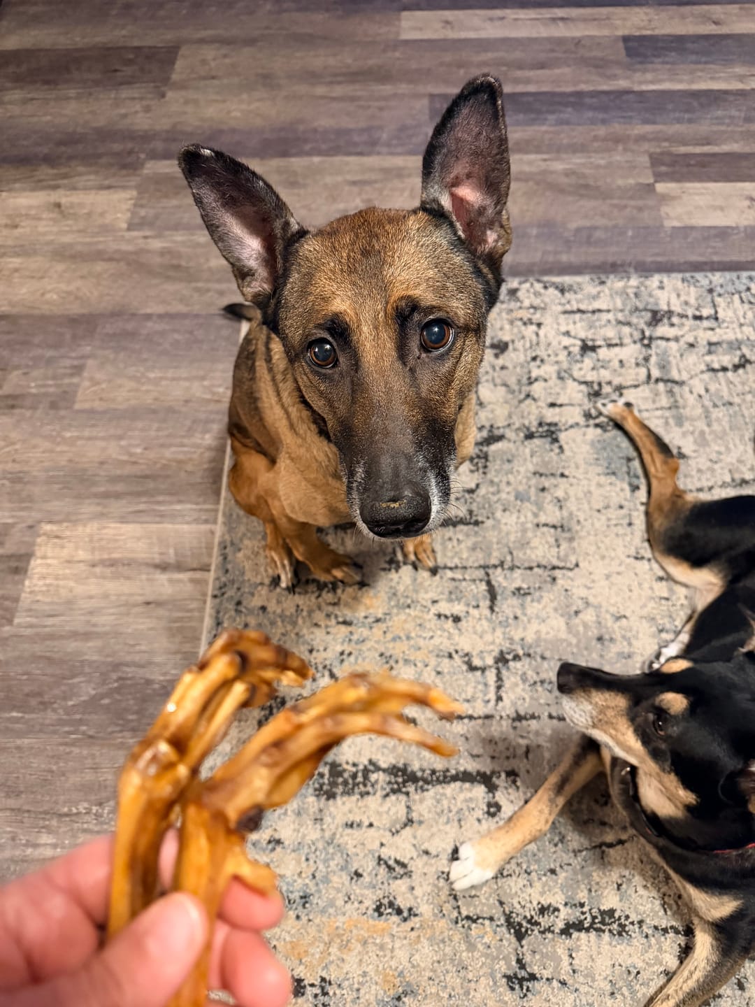 Customer photo review of Duck Feet
