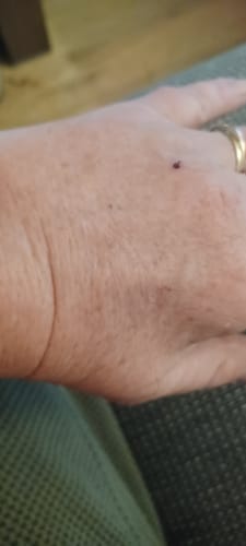 Customer photo review of Proefset
