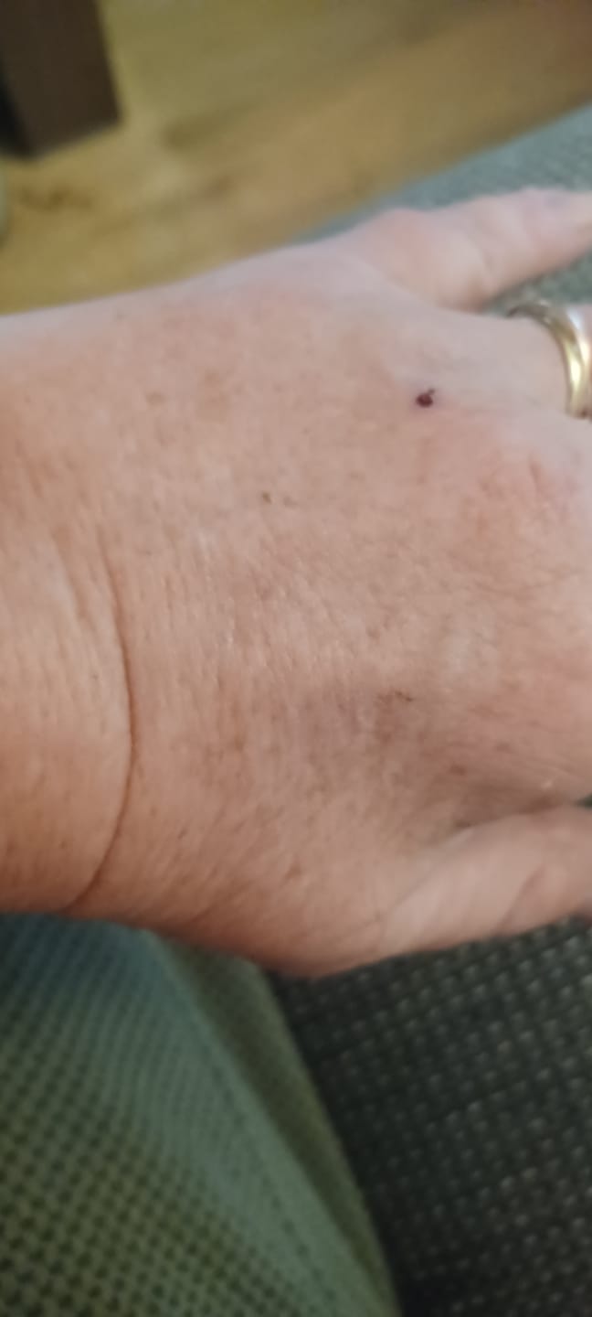 Customer photo review of Proefset