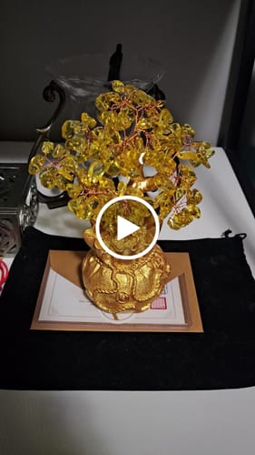 Customer video review of Prestige Fortune – Master Xu's Feng Shui Fortune Tree