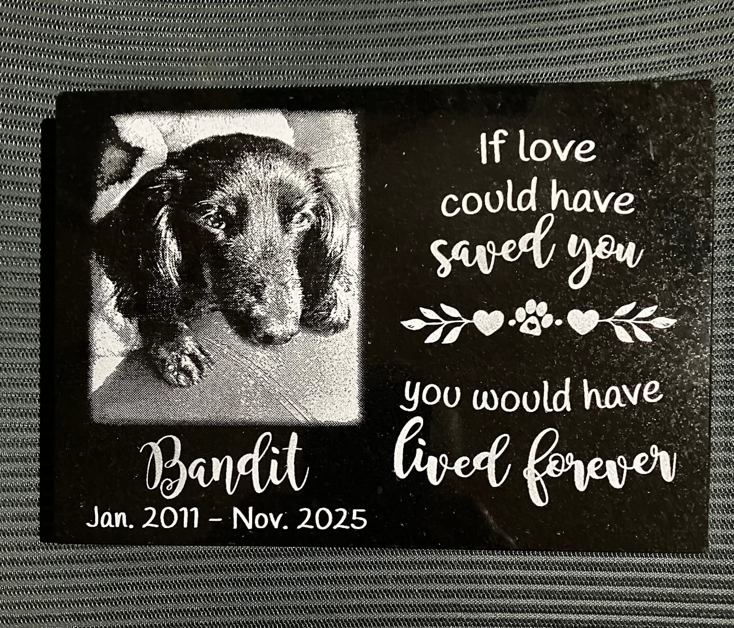 Customer photo review of Outdoor Personalized Dog Memorial Plaque If Love Could Have Saved You Personalized Outdoor Plaque