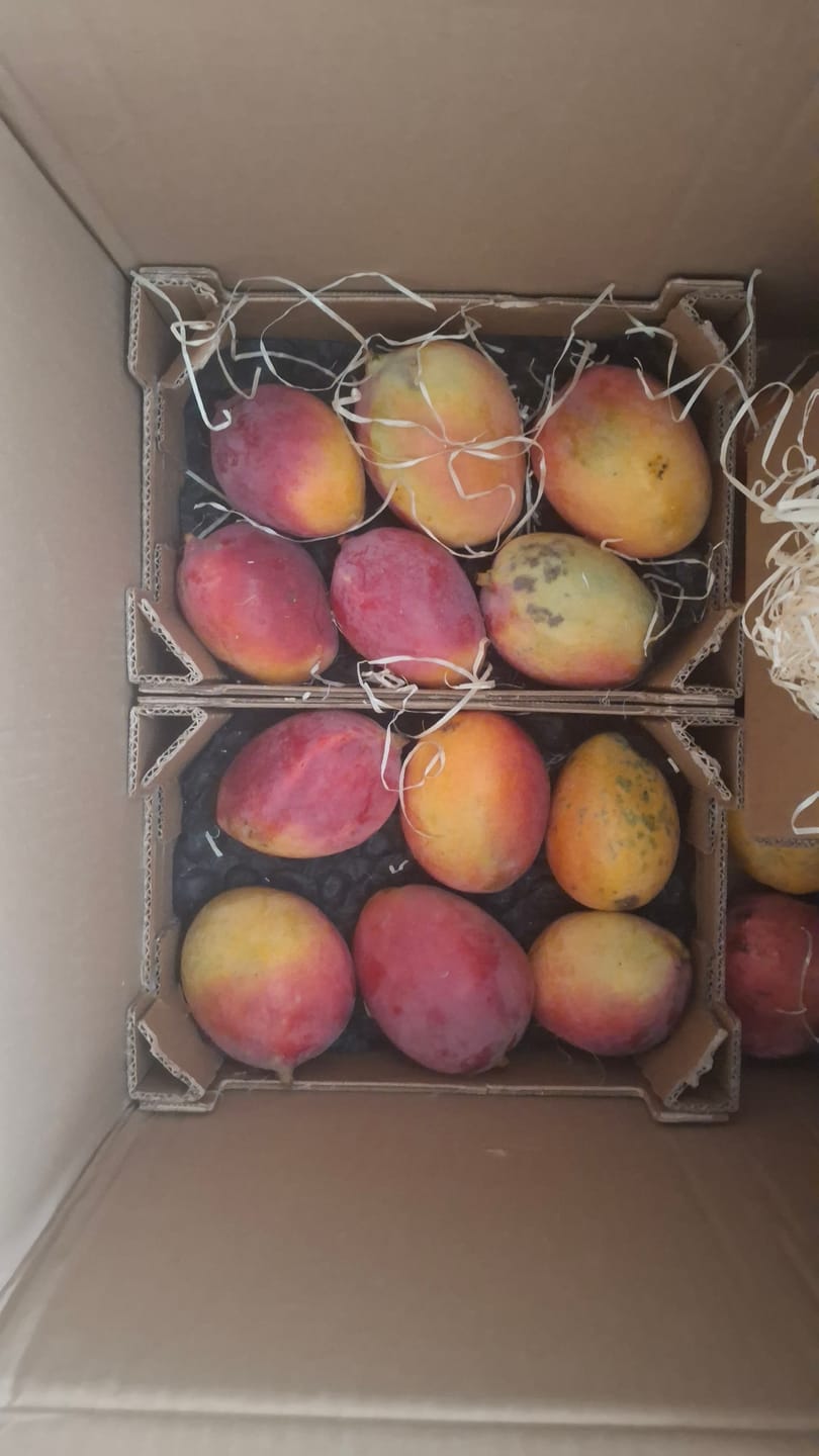 Customer photo review of Mango Sensacion Bio Spätsorte von Paco Sonderpreis %