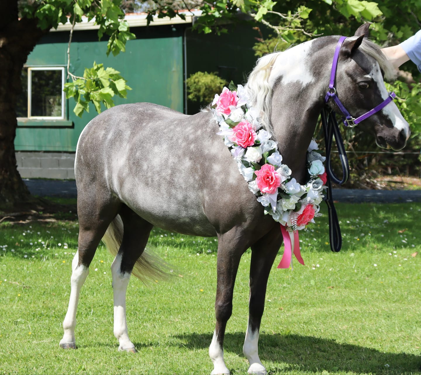 Customer photo review of Digestive EQ