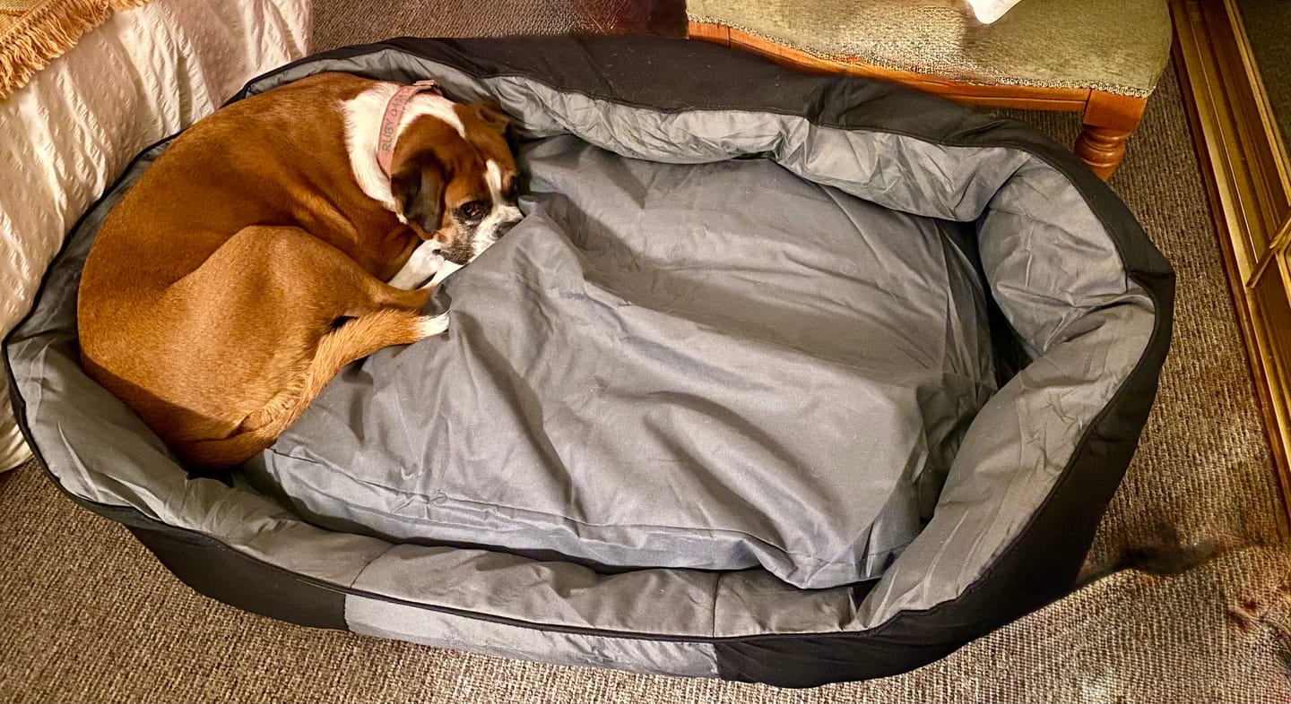 Customer photo review of Outdoor Waterproof Heavy Duty Dog Bed