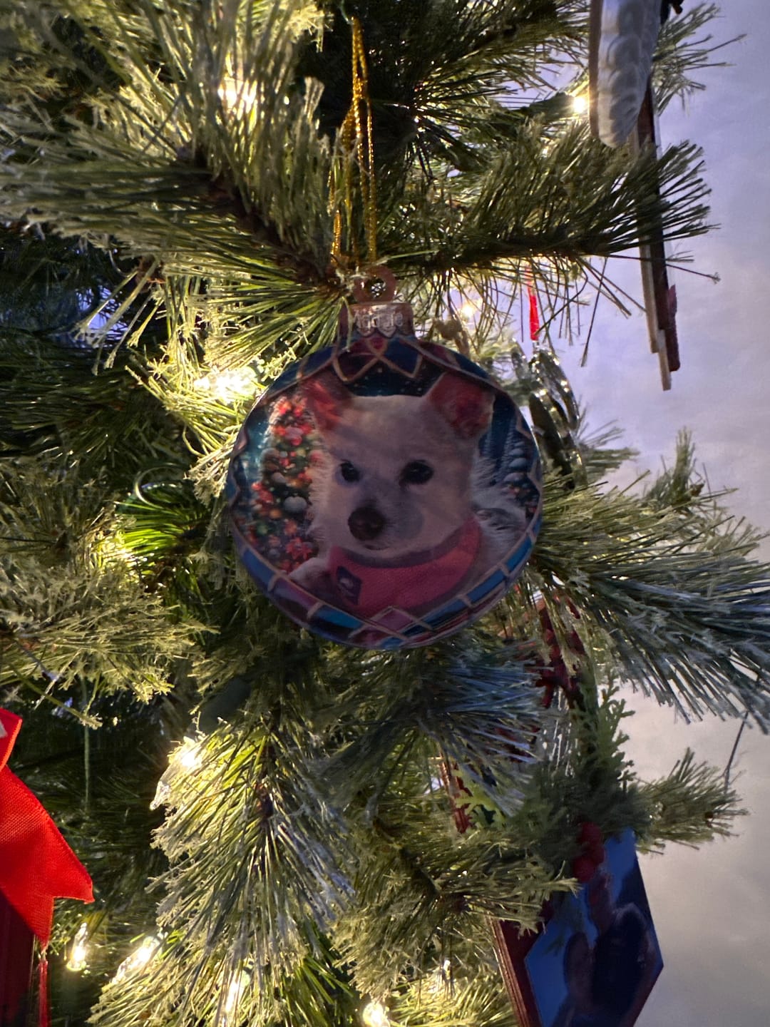Customer photo review of Custom Photo Pets Make Our Lives Whole - Dog & Cat Personalized Ornament