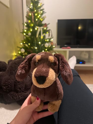 Customer photo review of Otto Sausage Dog | Jellycat