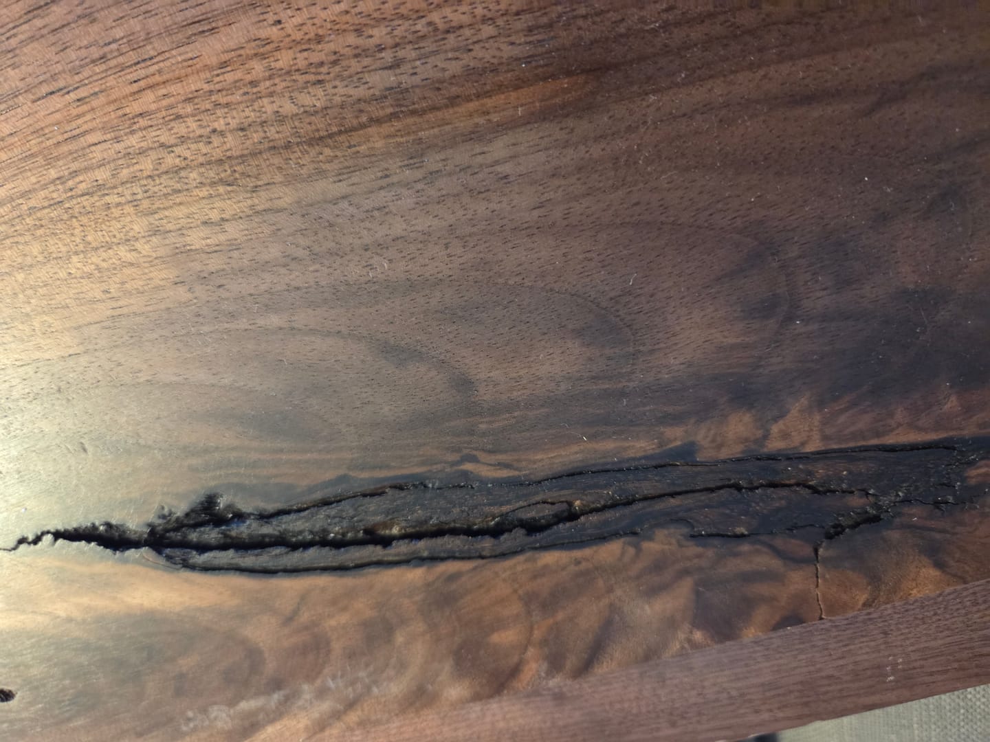 Customer photo review of Live Edge Walnut Floating Shelves