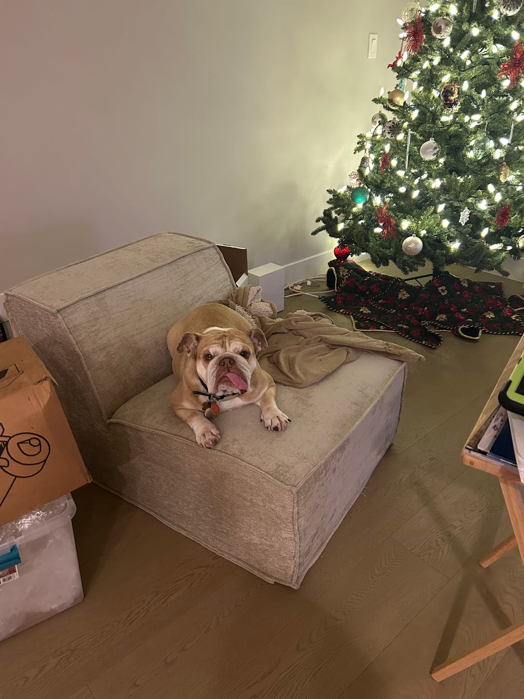 Customer photo review of M1 Armless Sofa Seat