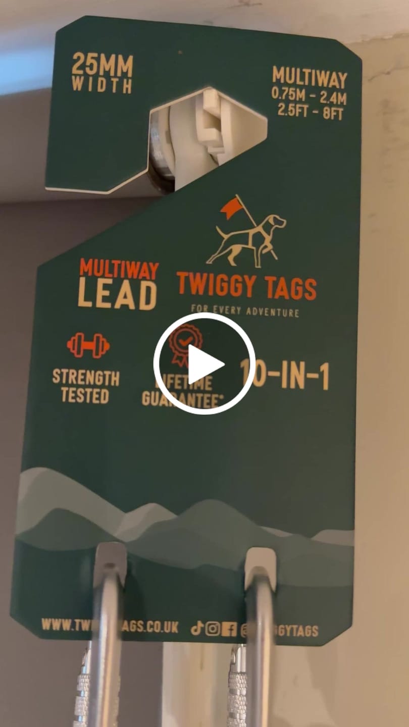 Customer video review of Multi-Way Lead