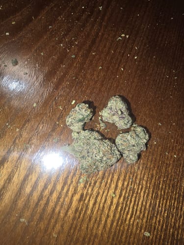 Customer photo review of Bulk Exotic Flower