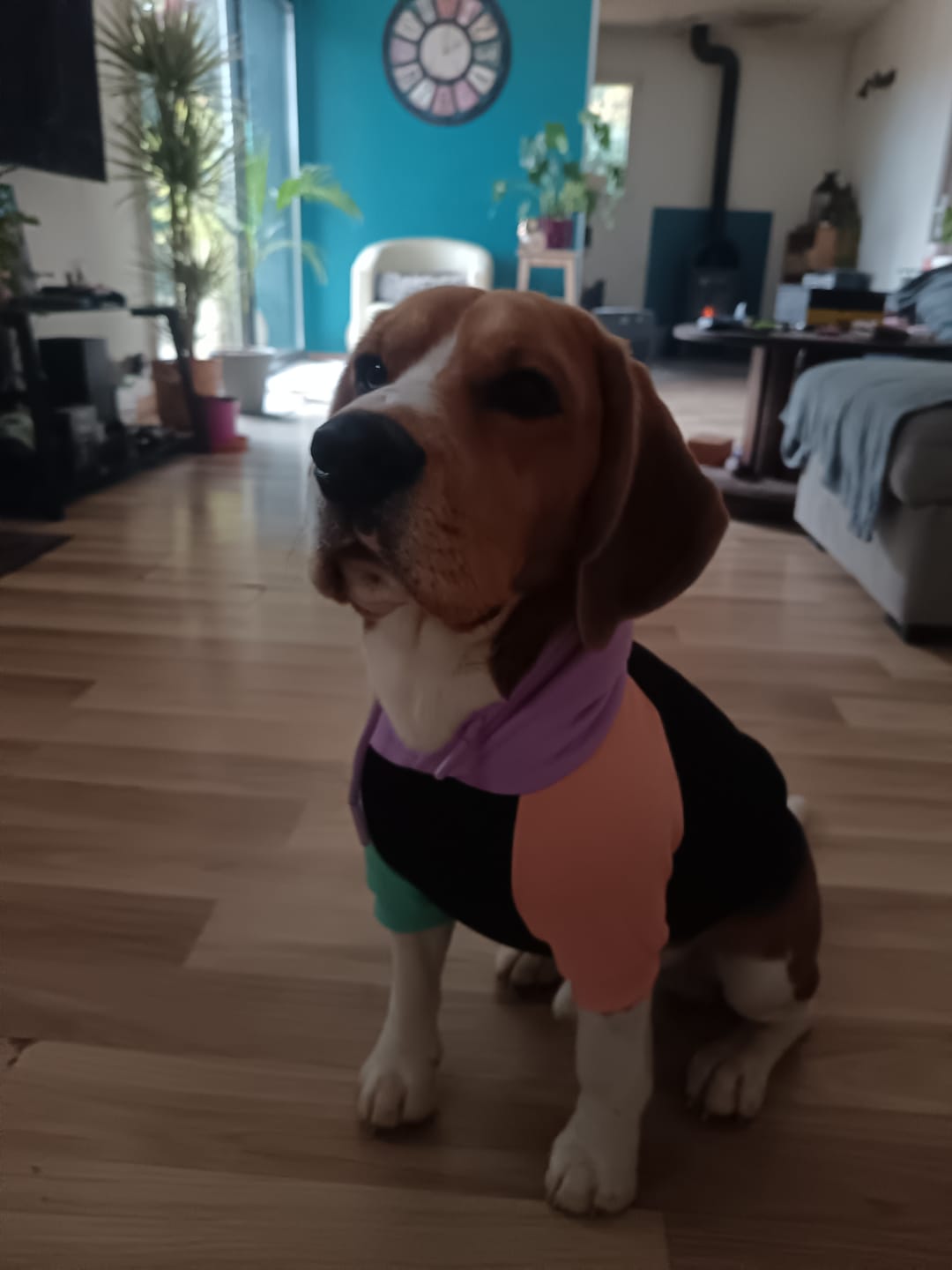 Customer photo review of Cyber Punk Human Hoodie