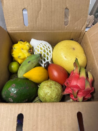 Reviewer's open Holiday Box showing a fresh assortment of colorful tropical fruits like dragon fruit, pomelo, and avocado.