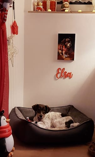 Customer photo review of Dein Haustier als Cartoon - Individuelle Leinwand