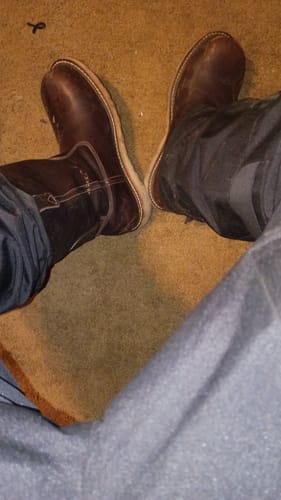 Customer photo review of Cushion Comfort Socks - Pack of 3