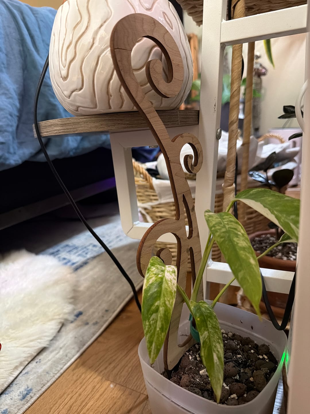 Customer photo review of BARE™ Flora™ - Customizable wooden plant support - Perfect for Orchids