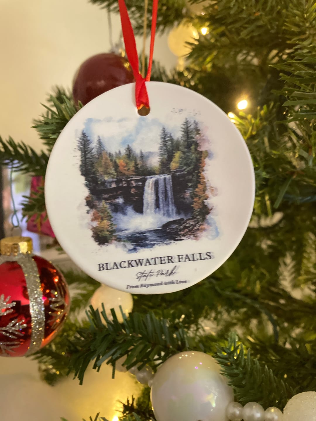 Customer photo review of Blackwater Falls State Park Ornament: Unique Tucker County WV Souvenir, WV Xmas Decor, and Authentic West Virginia Gift